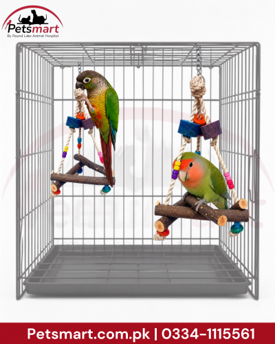 A gray metal bird cage with two hanging rope toys and wooden perches, shown with two small green-and-orange lovebirds inside. The Petsmart logo appears in the top left, and a red contact banner is at the bottom.
