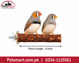 Two small zebra finches perched on a wooden bird perch with a wing nut, shown on a white background with a Petsmart logo and a red contact banner. A dimension arrow labels the perch length as 6 inch.