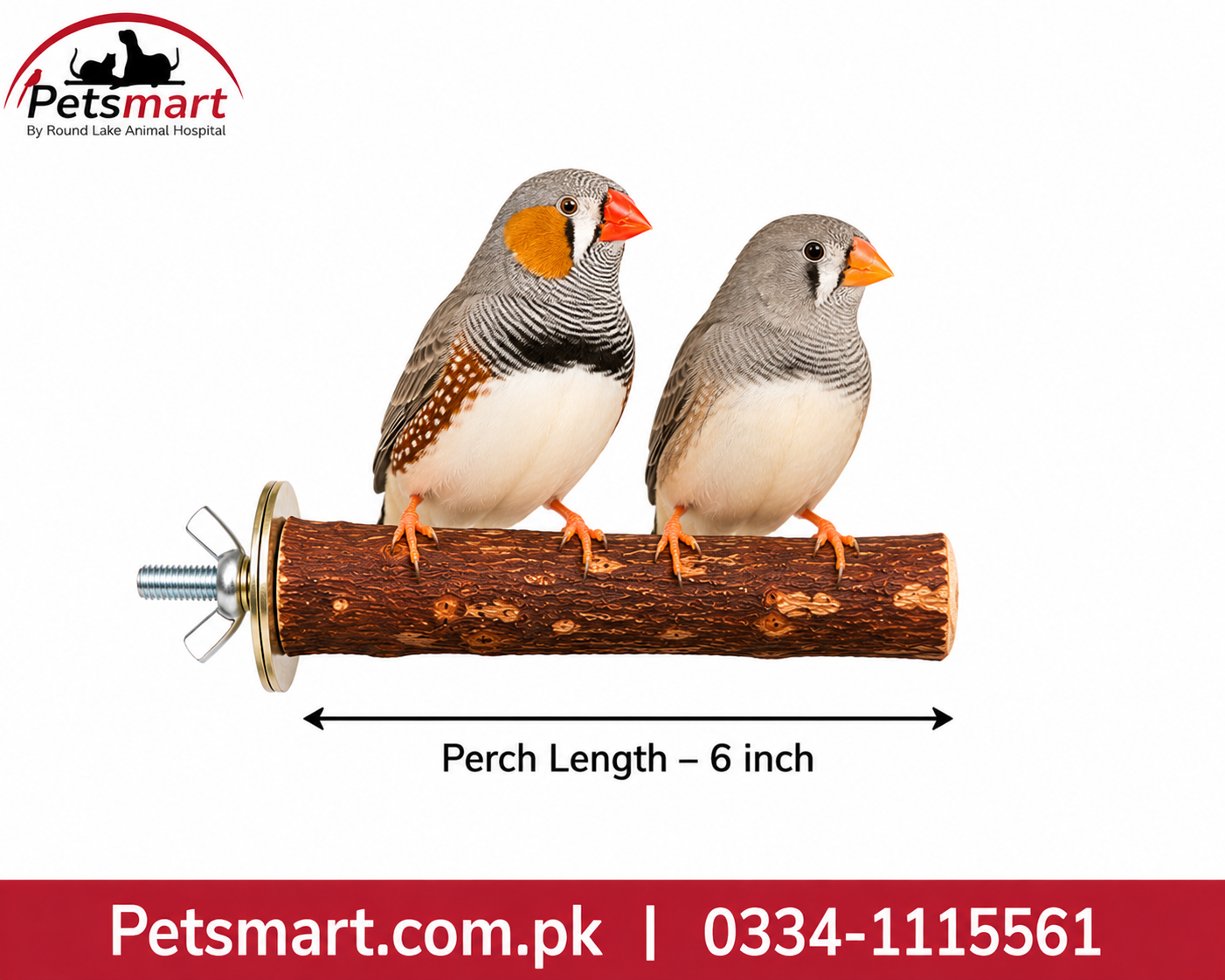 Two small zebra finches perched on a wooden bird perch with a wing nut, shown on a white background with a Petsmart logo and a red contact banner. A dimension arrow labels the perch length as 6 inch.