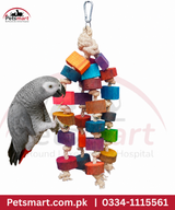 African Grey parrot interacting with colourful Bird Wood Wonder wooden and rope hanging toy