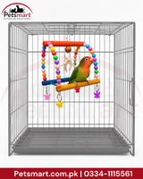 Bird wooden candy swing with colourful beads wooden bars and hanging decorative pieces inside cage