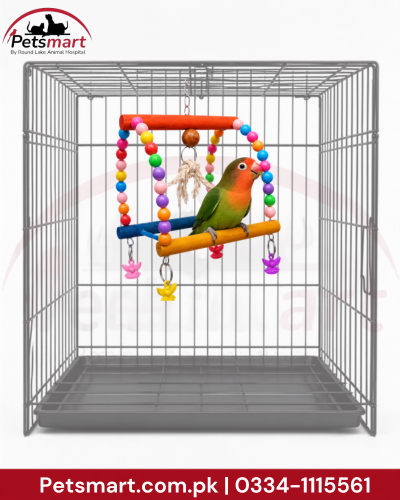Bird wooden candy swing with colourful beads wooden bars and hanging decorative pieces inside cage