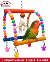 Bird wooden candy swing with colourful beads wooden bars and hanging decorative pieces with lovebird