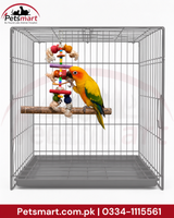 A small yellow and green parrot perched on a wooden toy bar inside a gray metal pet cage with a hanging colorful toy. The Petsmart logo appears in the top left, and a red contact banner is at the bottom.