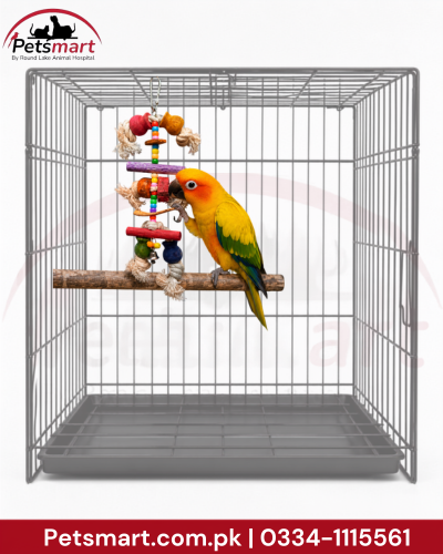 A small yellow and green parrot perched on a wooden toy bar inside a gray metal pet cage with a hanging colorful toy. The Petsmart logo appears in the top left, and a red contact banner is at the bottom.