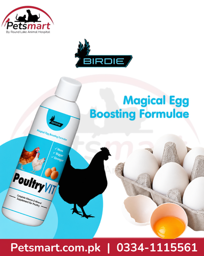 Birdie Poultry Vit 350ml liquid breeding and egg production support supplement for poultry