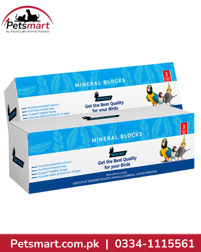 Birdie Premium Mineral Block calcium and mineral supplement for pet birds