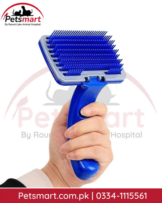 Small blue dog grooming brush with rectangular bristle head and handheld grip