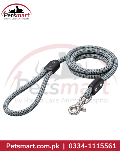Blue braided rope dog leash with loop handle and metal clip