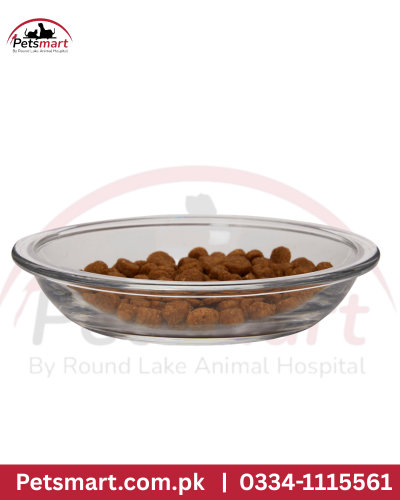 Transparent bowl