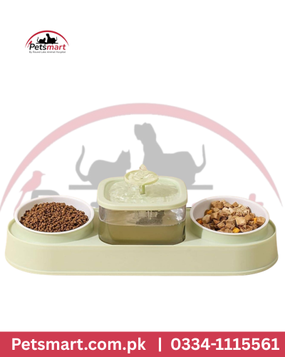 Double Bowl fountain