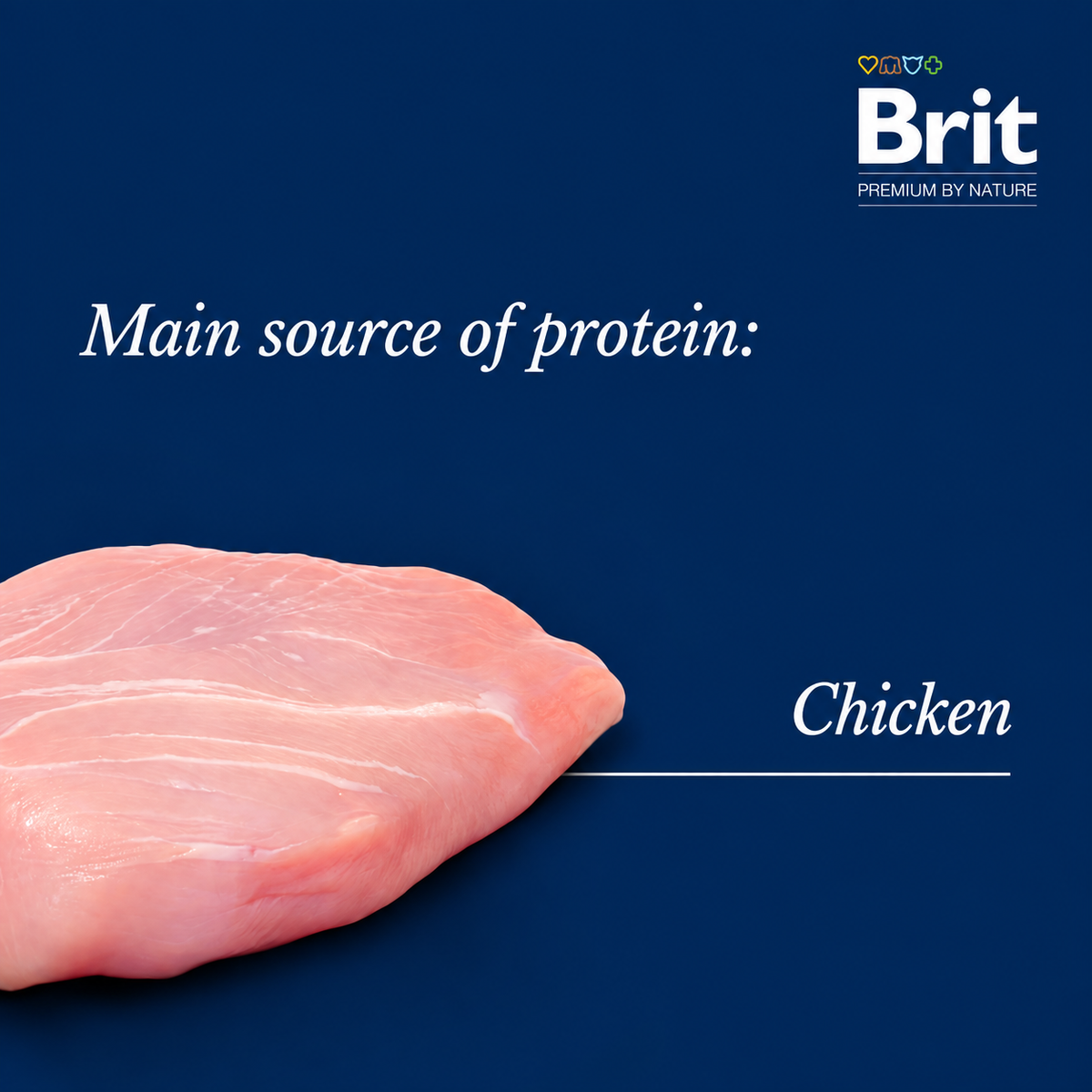 Chicken as the main protein source in Brit Premium Adult Chicken cat food
