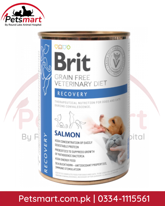 Brit Grain-Free Veterinary Diet Recovery Salmon wet food for dogs and cats 400g can