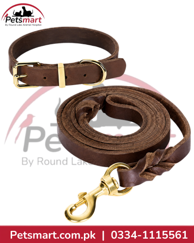 Brown leather dog collar and matching leash set with gold-tone metal hardware and braided detail