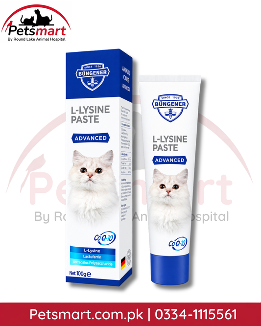 Büngener Advanced L-Lysine Paste 100g nutritional supplement for cats