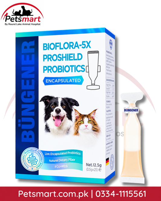 Büngener Bioflora 5X Proshield probiotic and prebiotic supplement for digestive support