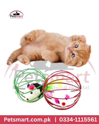 Colorful cage ball interactive toy for cats with green and red designs