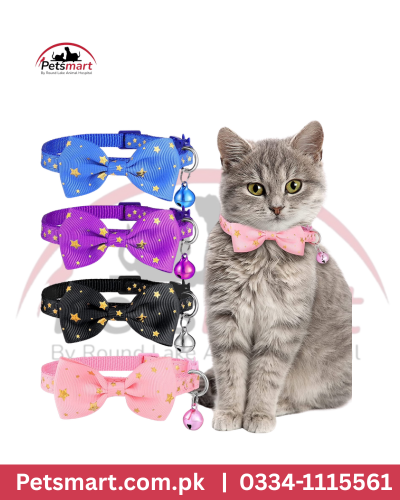 Cat bow tie collars with bells in blue purple black and pink assorted colors