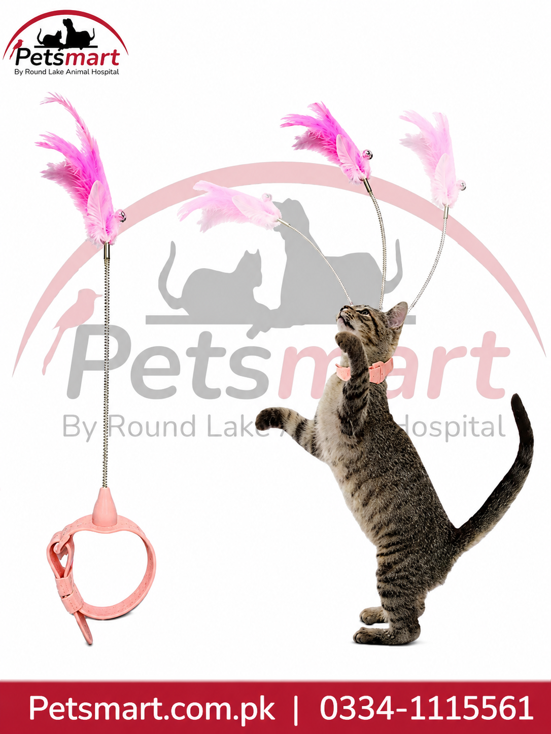 pink cat collar with feather teaser toy for cats
