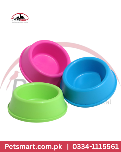 Cat food and water bowls in pink blue and green assorted colors