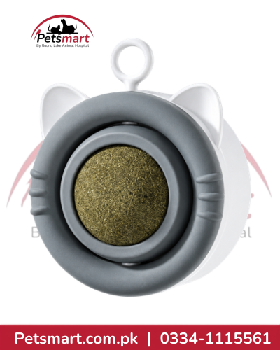 Grey catnip-infused 360-degree rotating wall-mount ball toy for cats