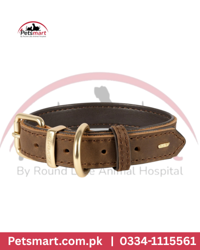 coller Medium