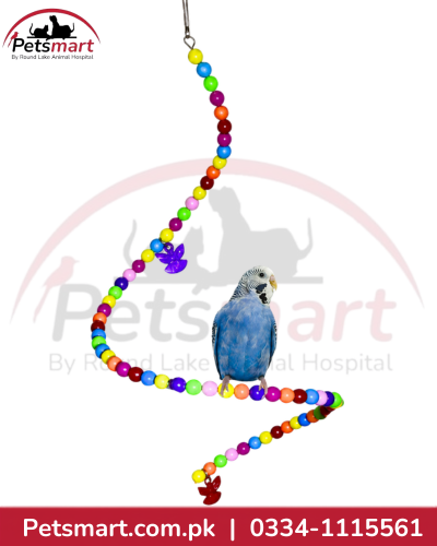 Colourful spiral hanging bird swing and perch with multicolour beads for pet birds