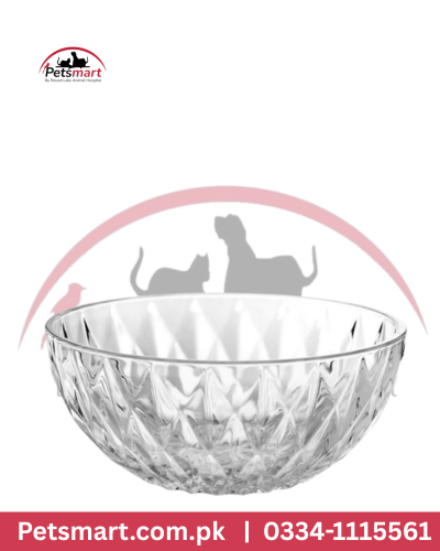 Diamond design transparent food bowl for cats and small dogs