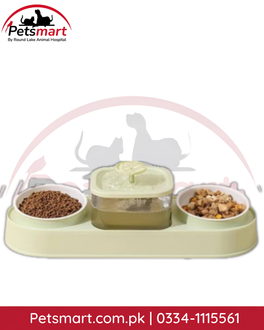 Double pet feeding bowl with central water fountain for cats and small dogs