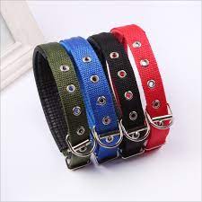 Soft Collar with buckle  Ex
