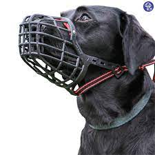 Muzzle Plastic 6 number