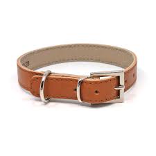 Light Brown Leather Collar Imp (Medium)