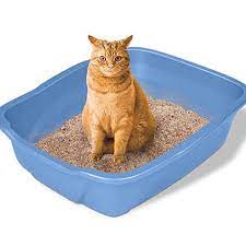 Easy Clean 5 Litter