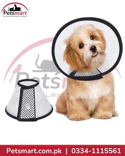Elizabethan Recovery Collar Size 5 for dogs and cats 
