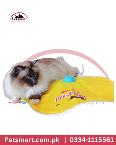 Ferplast cat Toy