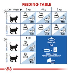 Royal Canin Indoor-27 2KG