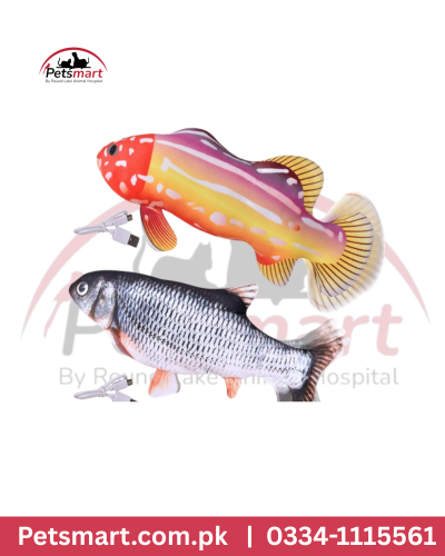 fish toy