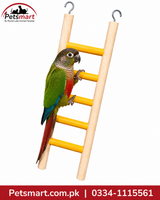 A green and red parrot perched on a wooden ladder toy with yellow horizontal bars, shown against a white background with a Petsmart logo and contact information.