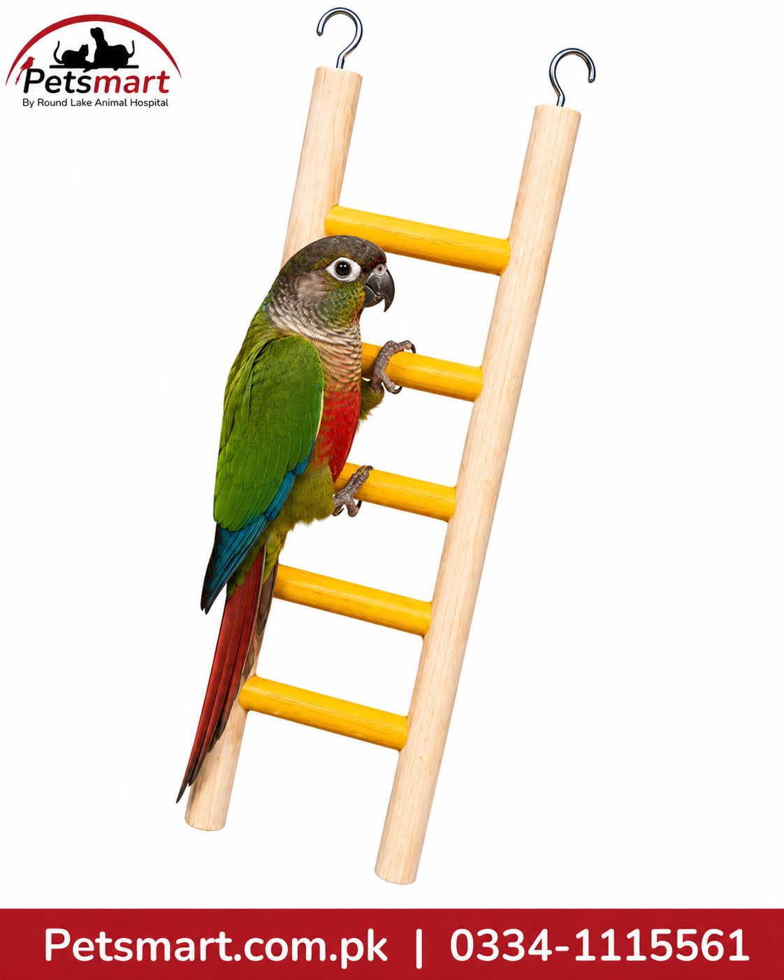 A green and red parrot perched on a wooden ladder toy with yellow horizontal bars, shown against a white background with a Petsmart logo and contact information.