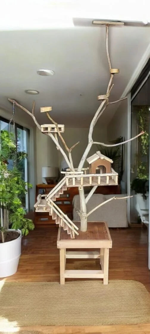 Freestanding bird java tree stand with hut multi-level branches and table-style base