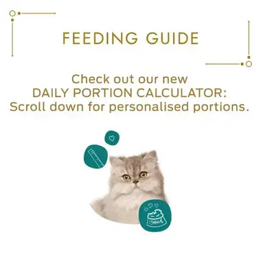 Purina Gourmet Gold Succulent Delights Chicken Wet Cat Food 85g