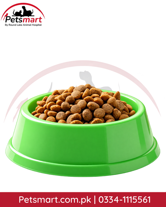 Green plastic food bowl for cats and dogs