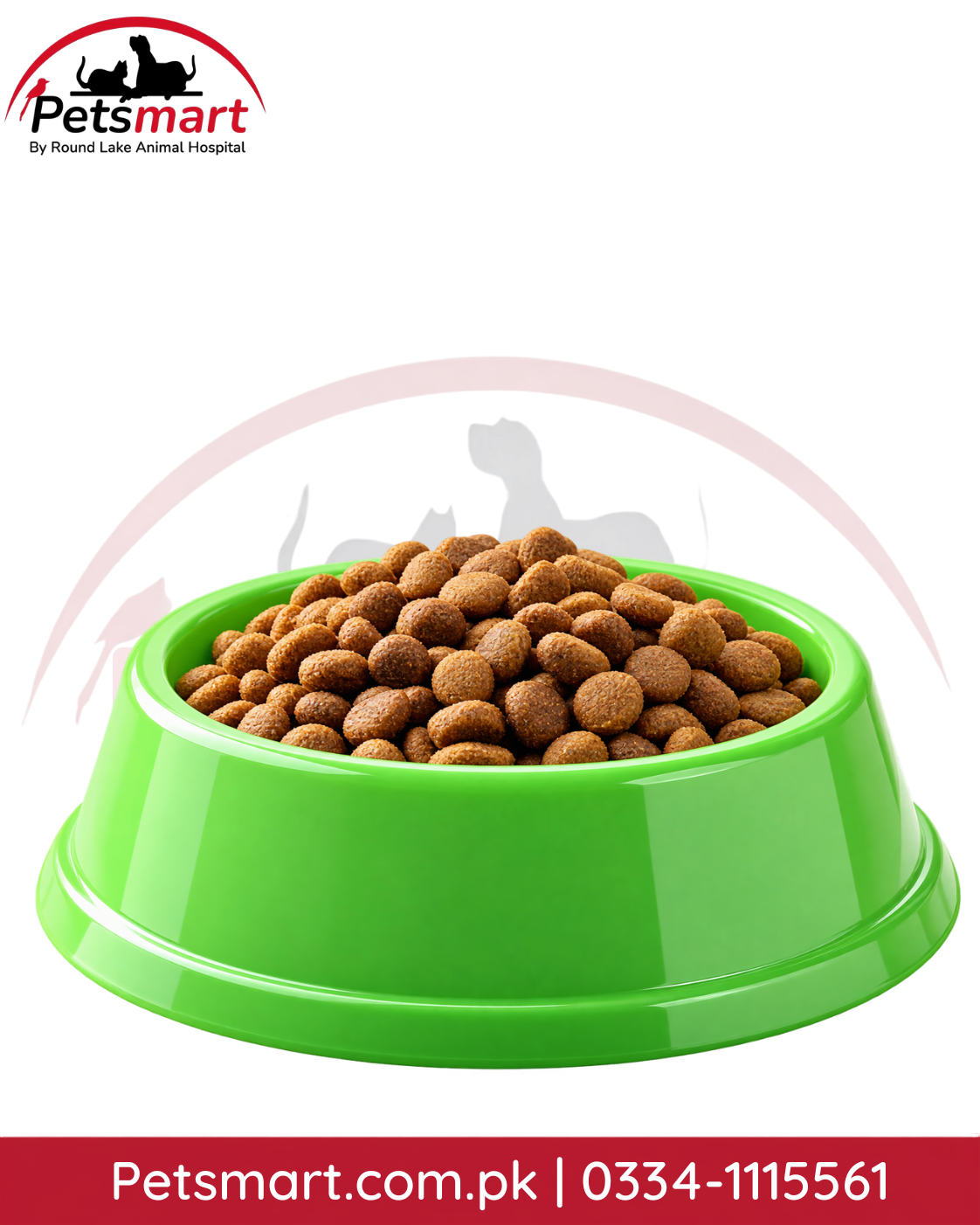 Green plastic food and water bowl filled with dry dog food