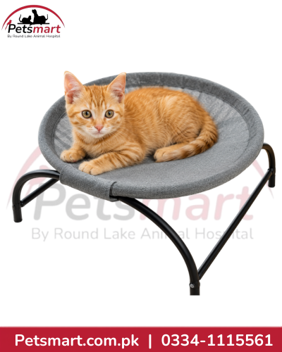 Grey round elevated cat bed with black metal frame and orange kitten resting on it