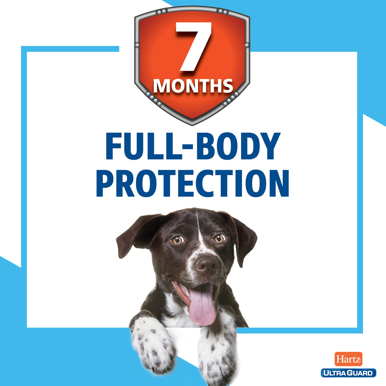 HARTZ FLEA TICK PUPPY COLLAR 15" (48X19GM)