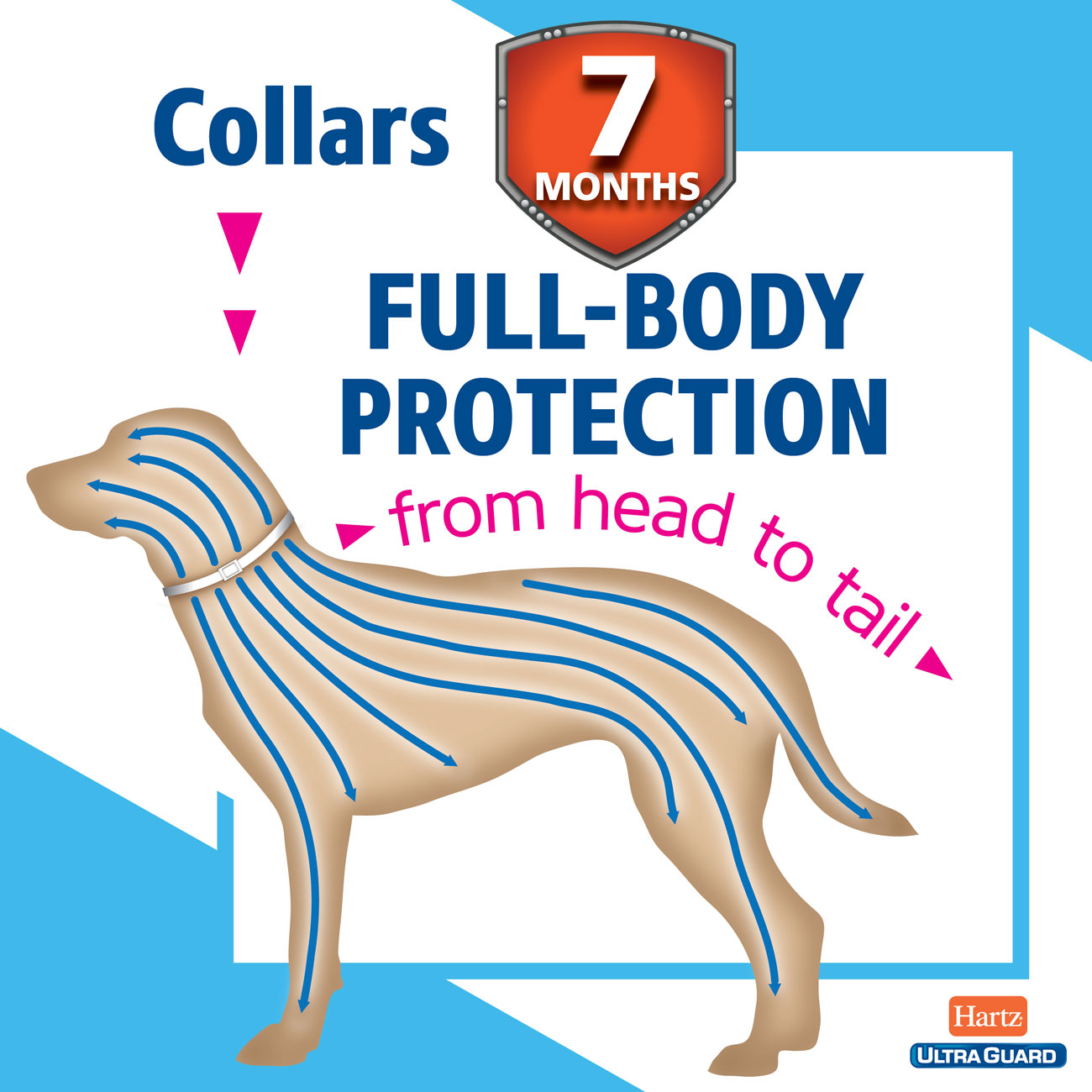HARTZ FLEA TICK DOG COLLAR 20" (48X1)