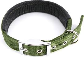 Soft Collar with buckle  Ex