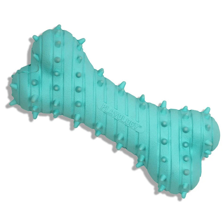 Bone teether toy