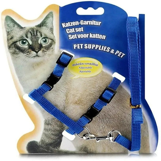PUPPY & CAT CARD HARNESS