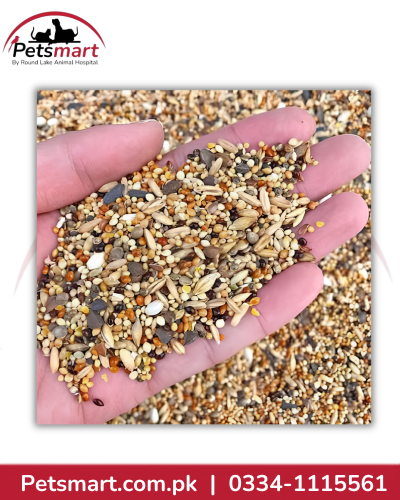 Close-up of Kabootar Dana mixed grains and seeds for pigeons chickens and game birds